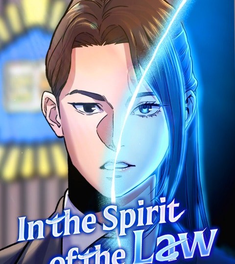 In the Spirit of the Law封面